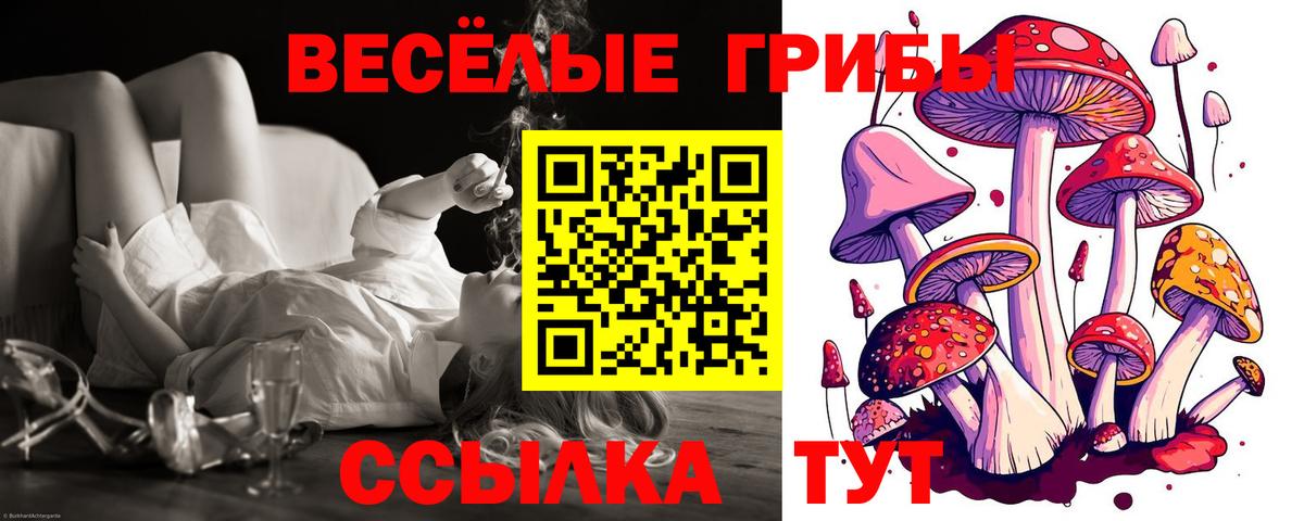 Псилоцибиновые грибы Magic Shrooms  Вход с VPN  Архангельск 